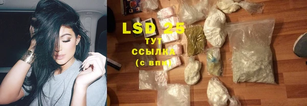 ГАЛЛЮЦИНОГЕННЫЕ ГРИБЫ Аркадак
